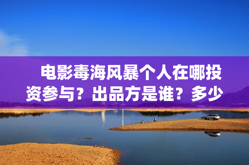    电影毒海风暴个人在哪投资参与？出品方是谁？多少起投？(电影毒海风暴 免费观看)