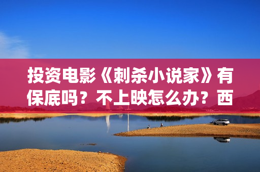 投资电影《刺杀小说家》有保底吗？不上映怎么办？西坝河(刺杀 电影)