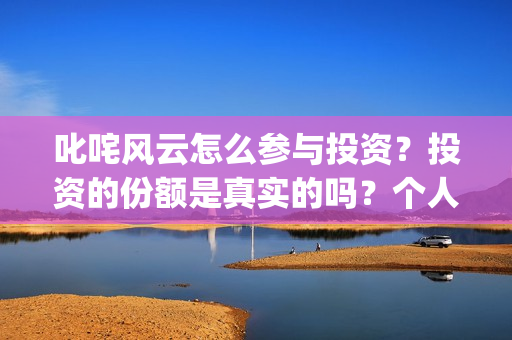 叱咤风云怎么参与投资？投资的份额是真实的吗？个人怎么参与？(叱咤风云解说)