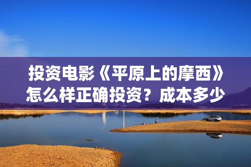 投资电影《平原上的摩西》怎么样正确投资？成本多少？-惠南镇(平原在线)