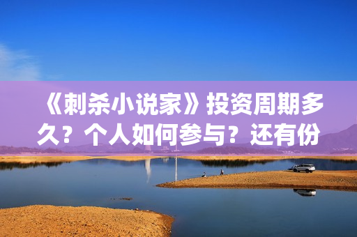 《刺杀小说家》投资周期多久？个人如何参与？还有份额吗？(《刺杀小说家》作者)