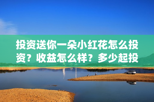 投资送你一朵小红花怎么投资？收益怎么样？多少起投？(投资送你一朵小红花)