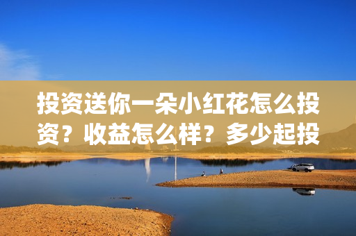 投资送你一朵小红花怎么投资？收益怎么样？多少起投？(投资送你一朵小红花好看吗)