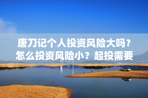 唐刀记个人投资风险大吗？怎么投资风险小？起投需要门槛吗？(唐刀纪录片视频)