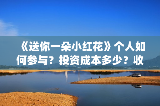 《送你一朵小红花》个人如何参与？投资成本多少？收益空间大吗？(送你一朵小红花歌词)