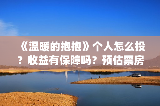 《温暖的抱抱》个人怎么投？收益有保障吗？预估票房多少？(温暖的抱抱为什么禁了)