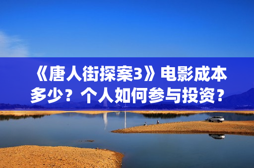 《唐人街探案3》电影成本多少？个人如何参与投资？还有份额吗？(唐人街探案3在线观看免费版1080p)