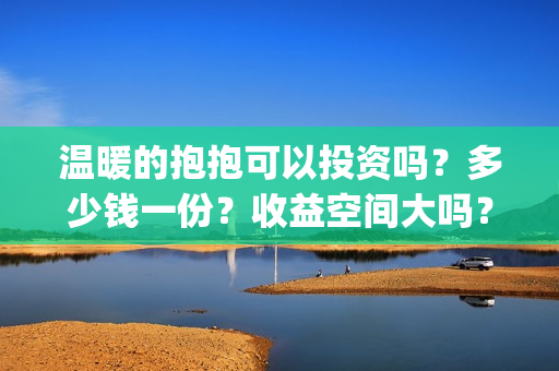 温暖的抱抱可以投资吗？多少钱一份？收益空间大吗？(温 暖的抱抱)