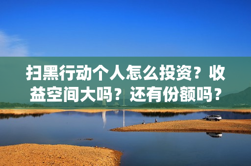 扫黑行动个人怎么投资？收益空间大吗？还有份额吗？(扫黑行动主要内容)