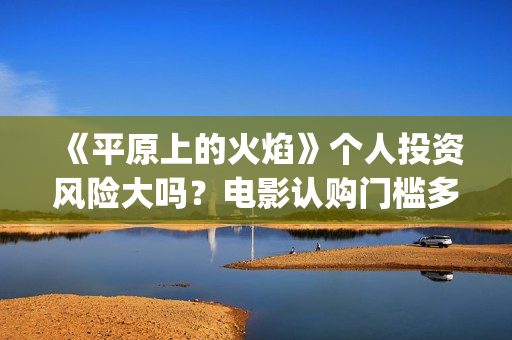 《平原上的火焰》个人投资风险大吗？电影认购门槛多少？(平原上的火焰豆瓣评分)