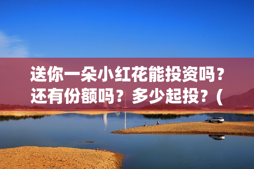 送你一朵小红花能投资吗？还有份额吗？多少起投？(送你一朵小红花电影)
