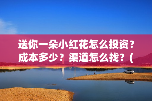 送你一朵小红花怎么投资？成本多少？渠道怎么找？(送你一朵小红花电影剧情介绍)