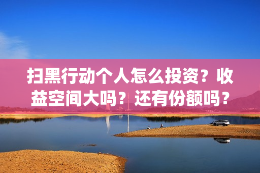 扫黑行动个人怎么投资？收益空间大吗？还有份额吗？(扫黑行动简介)