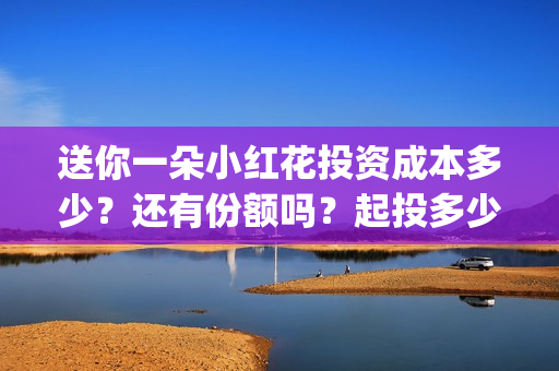 送你一朵小红花投资成本多少？还有份额吗？起投多少？(送你一朵小红花歌词)