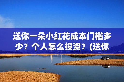 送你一朵小红花成本门槛多少？个人怎么投资？(送你一朵小红花结局)