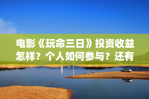 电影《玩命三日》投资收益怎样？个人如何参与？还有份额吗？(在线播放玩命三日)
