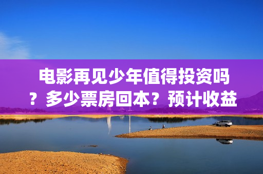  电影再见少年值得投资吗？多少票房回本？预计收益(电影再见少年免费观看)