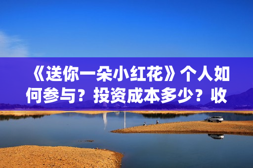 《送你一朵小红花》个人如何参与？投资成本多少？收益空间大吗？(送你一朵小红花简谱)