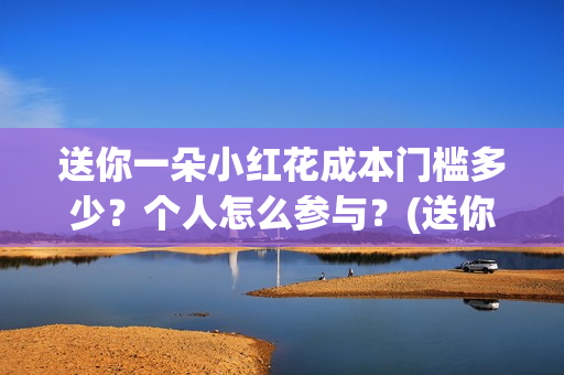 送你一朵小红花成本门槛多少？个人怎么参与？(送你一朵小红花简谱)