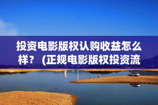 投资电影版权认购收益怎么样？ (正规电影版权投资流程)