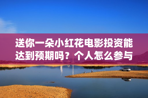 送你一朵小红花电影投资能达到预期吗？个人怎么参与(送你一朵小红花电影)