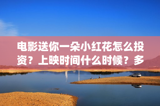 电影送你一朵小红花怎么投资？上映时间什么时候？多少起投？(电影送你一朵小红花豆瓣评分)