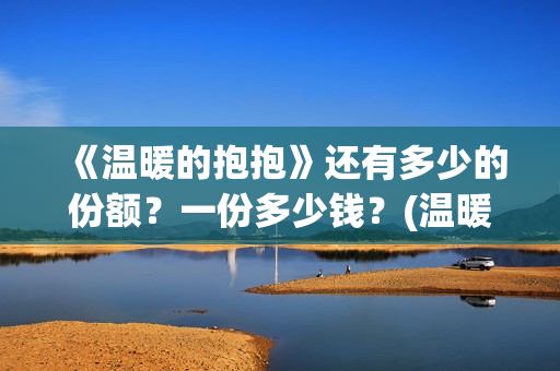 《温暖的抱抱》还有多少的份额？一份多少钱？(温暖的抱抱为什么禁了)