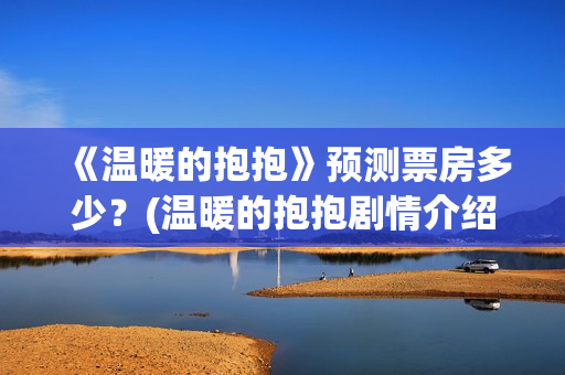 《温暖的抱抱》预测票房多少？(温暖的抱抱剧情介绍)