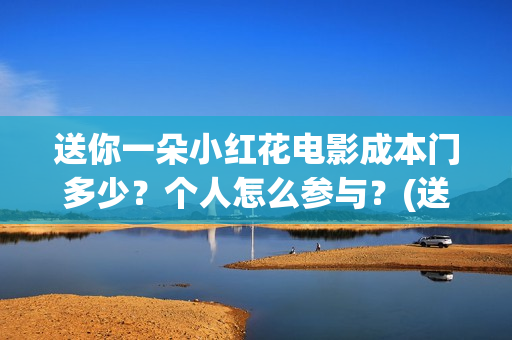 送你一朵小红花电影成本门多少？个人怎么参与？(送你一朵小红花简谱)