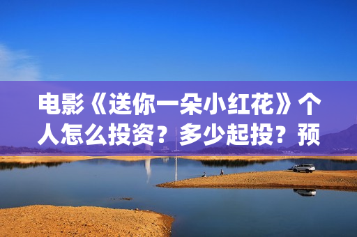 电影《送你一朵小红花》个人怎么投资？多少起投？预计收益多少？(电影《送你一朵小红花》)