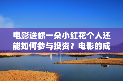 电影送你一朵小红花个人还能如何参与投资？电影的成本是多少？(电影送你一朵小红花完整版免费观看)