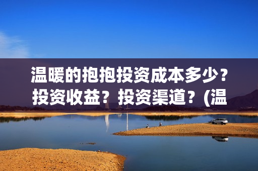 温暖的抱抱投资成本多少？投资收益？投资渠道？(温暖的抱抱投资会血本无归吗)