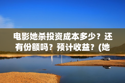 电影她杀投资成本多少？还有份额吗？预计收益？(她杀电影原著)