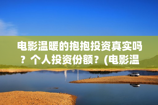 电影温暖的抱抱投资真实吗？个人投资份额？(电影温暖的抱抱在线观看)