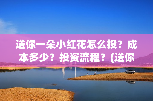 送你一朵小红花怎么投？成本多少？投资流程？(送你一朵小红花电影)