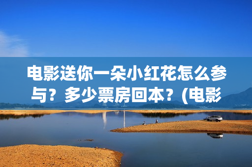 电影送你一朵小红花怎么参与？多少票房回本？(电影送你一朵小红花讲述的主题是抗癌吗)
