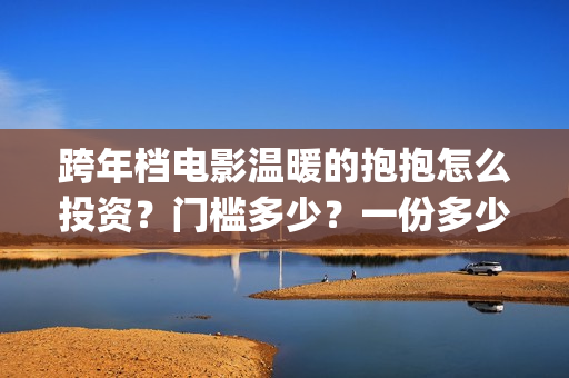 跨年档电影温暖的抱抱怎么投资？门槛多少？一份多少钱？(温暖电影排行榜前十名)
