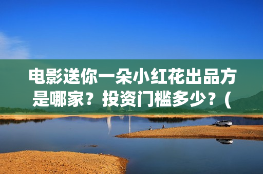 电影送你一朵小红花出品方是哪家？投资门槛多少？(电影送你一朵小红花讲述的主题是抗癌吗)
