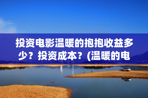 投资电影温暖的抱抱收益多少？投资成本？(温暖的电影名字)