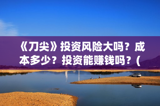 《刀尖》投资风险大吗？成本多少？投资能赚钱吗？(刀尖主演)