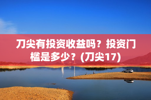刀尖有投资收益吗？投资门槛是多少？(刀尖17)