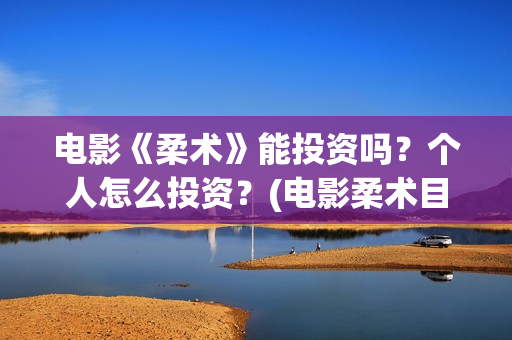 电影《柔术》能投资吗？个人怎么投资？(电影柔术目前票房)