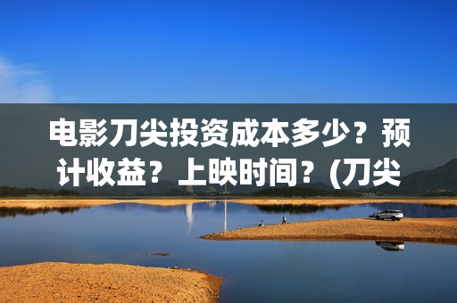 电影刀尖投资成本多少？预计收益？上映时间？(刀尖电影票房会有十亿吗)