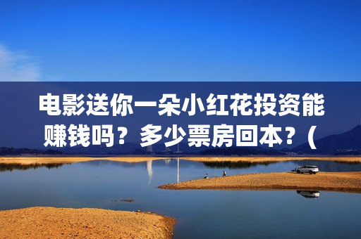 电影送你一朵小红花投资能赚钱吗？多少票房回本？(电影送你一朵小红花的英文)