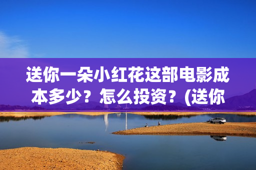 送你一朵小红花这部电影成本多少？怎么投资？(送你一朵小红花结局)