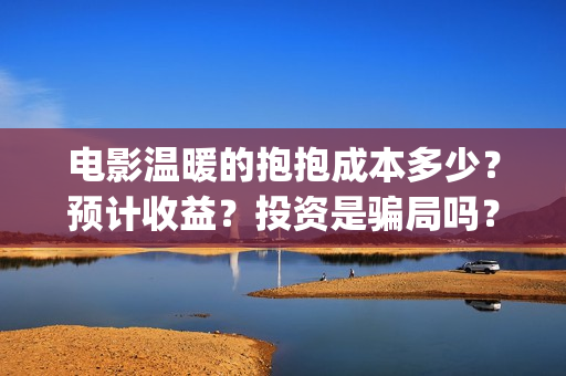 电影温暖的抱抱成本多少？预计收益？投资是骗局吗？(电影温暖的抱抱演员表)