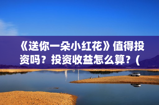 《送你一朵小红花》值得投资吗？投资收益怎么算？(送你一朵小红花mp3下载)