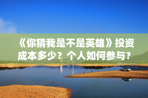 《你猜我是不是英雄》投资成本多少？个人如何参与？份额真实吗？(你猜我是不是英雄演员表)