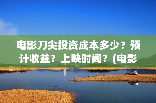 电影刀尖投资成本多少？预计收益？上映时间？(电影刀尖出品方有哪些)