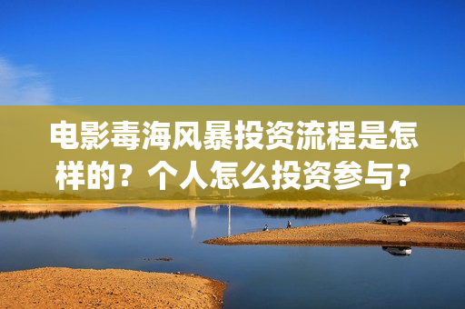 电影毒海风暴投资流程是怎样的？个人怎么投资参与？(毒海风暴上映时间)